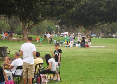 Пикник  в парке